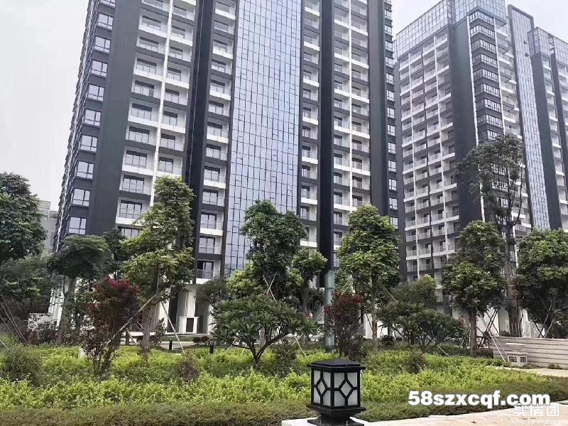 深圳现在为什么没有新建的小产权房而东莞有新建的呢？